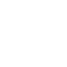 ico 1